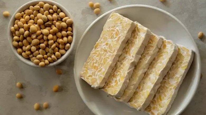 Fermented Tempeh